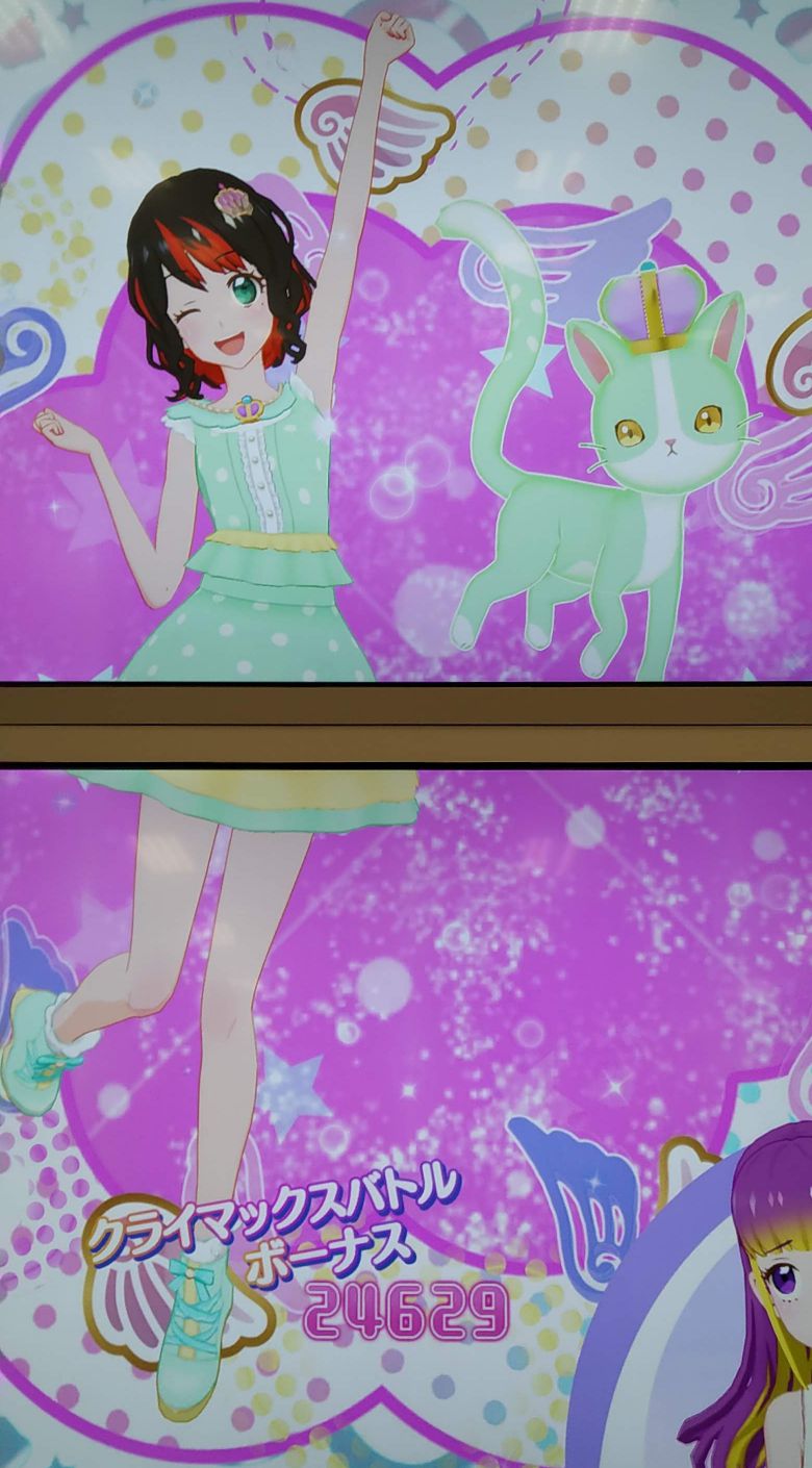 パステルミントケットシー